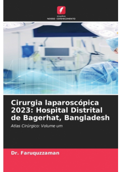 Cirurgia laparoscópica 2023