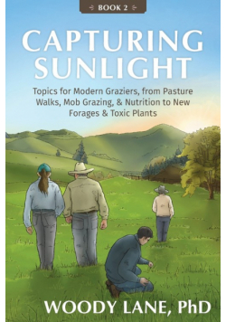 Capturing Sunlight, Book 2