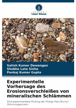 Experimentelle Vorhersage des Erosionsverschleißes von mineralischen Schlämmen