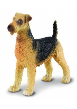Szczenię Airedale terrier