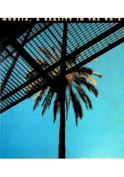 Murcia, a Reality in the 90's