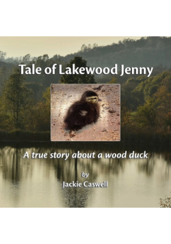 Tale of Lakewood Jenny
