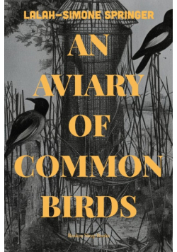 An Aviary of Common Birds