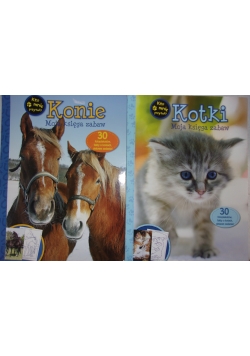 Moja księga zabaw: Kotki/Konie