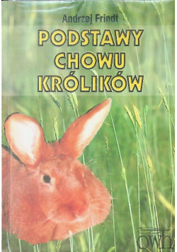 Podstawy chowu królików