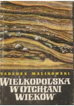 Wielkopolska w otchłani wieków