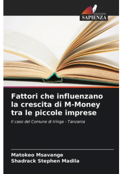 Fattori che influenzano la crescita di M-Money tra le piccole imprese