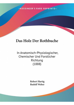 Das Holz Der Rothbuche