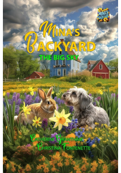 Mina's Backyard - The Big Sky