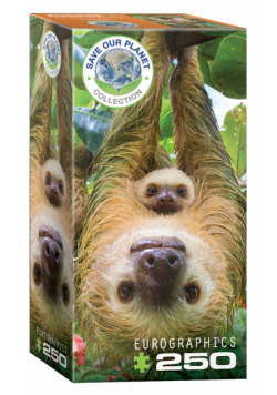 Puzzle 250 Sloths 8251-5556
