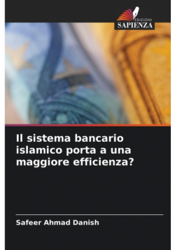 Il sistema bancario islamico porta a una maggiore efficienza?