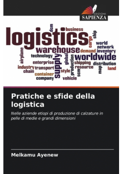 Pratiche e sfide della logistica