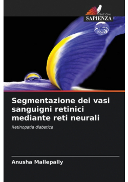 Segmentazione dei vasi sanguigni retinici mediante reti neurali
