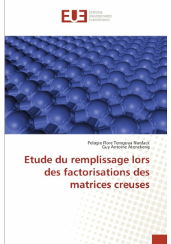 Etude du remplissage lors des factorisations des matrices creuses