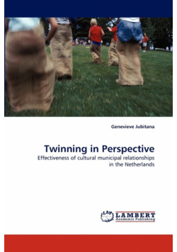 Twinning in Perspective