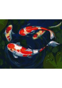 Malowanie po numerach - Zabawna ryba 40x50cm