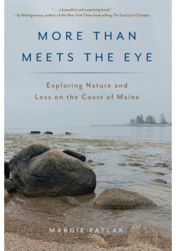 More Than Meets the Eye