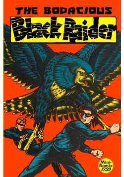 The Bodacious Black Raider