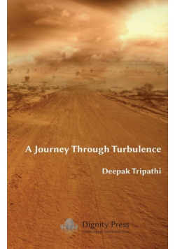 A Journey Through Turbulence