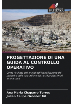 Progettazione Di Una Guida Al Controllo Operativo