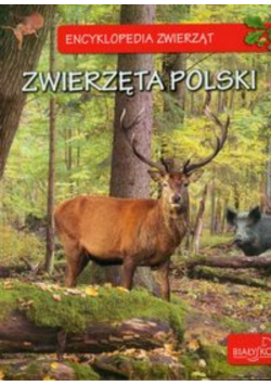 Encyklopedia zwierząt Zwierzęta Polski