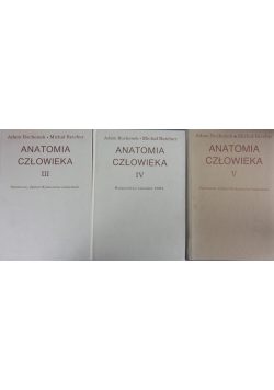 Anatomia człowieka zestaw 3 książek