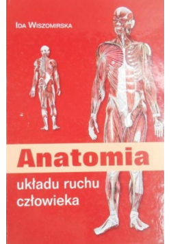 Anatomia układu ruchu człowieka