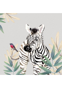 Karnet Swarovski kwadrat CL4711 Zebra