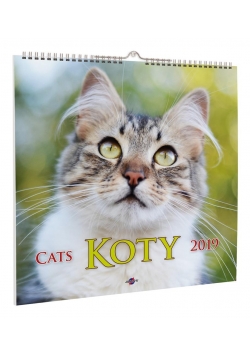 Kalendarz 2019 KD-21 Koty AVANTI