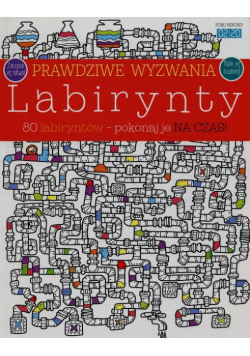 Prawdziwe wyzwania Labirynty