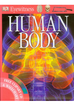 Human Body