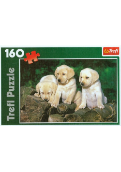 Puzzle 160 Małe Labradory
