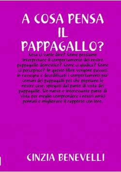 A Cosa Pensa Il Papppagallo?