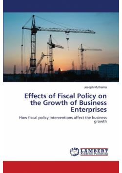 Effects of Fiscal Policy on the Growth of Business Enterprises