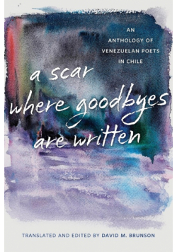 Scar Where Goodbyes Are Written