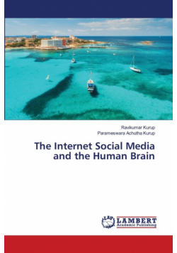 The Internet Social Media and the Human Brain