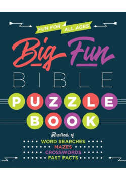 Big Fun Bible Puzzle Book