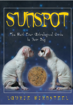 Sunspot