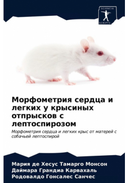 Морфометрия сердца и легких у крысиных отпрысков с лептоспирозом