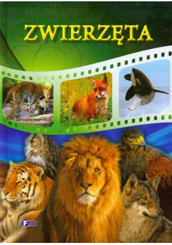 Zwierzęta
