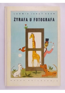 Żyrafa u fotografa