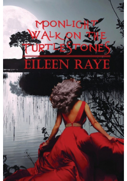 Moonlight Walk on the Turtlestones