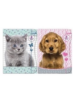 Teczka z gumką A4 Sweet Pets mix