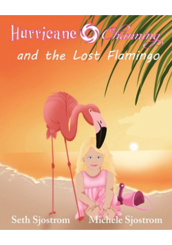 Hurricane Channing and the Lost Flamingo