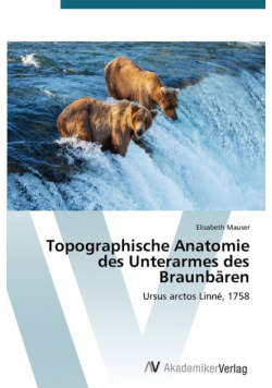 Topographische Anatomie des Unterarmes des Braunbären