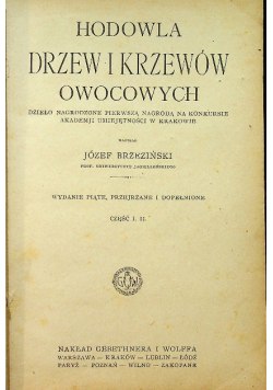 Hodowla drzew i krzewów owocowych 1929 r.