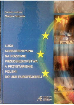 Luka konkurencyjna na poziomie przedsiębiorstwa a przystąpienie polski do unii europejskiej