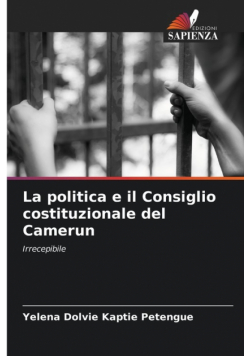 La politica e il Consiglio costituzionale del Camerun