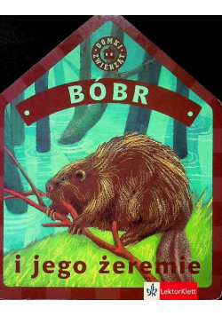 Bóbr i jego żeremie