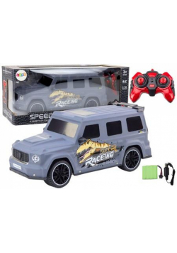 Auto RC 1:10 szare